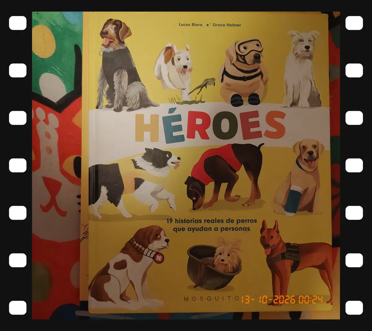 Libro «Héroes: historias reales de perros»